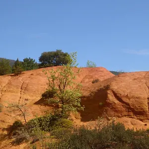 Perchée Dans Les Arbres Et Terrasse Ensoleillée Appartement